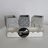 bulldog frances regalo barcelona  3 Mini Macetas cúbicas Perros y Panots, bulldog, Barcelona, macetita Barcelona, despedidas Barcelona, bodas en Barcelona, evento en Barcelona, regalo de Barcelona