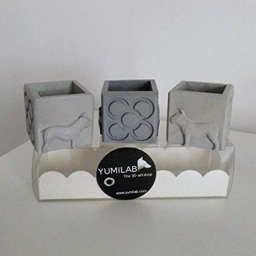 3 Mini Macetas cúbicas Perros y Panots, bulldog, Barcelona, macetita Barcelona, despedidas Barcelona, bodas en Barcelona, evento en Barcelona, regalo de Barcelona