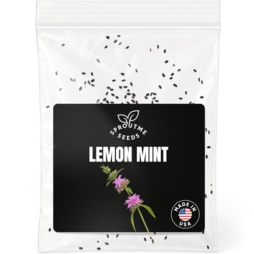 Fall & Winter Lemon Mint Seeds by SproutMe Seeds