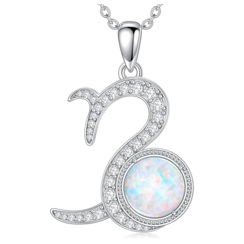 Shroova Zodiac Symbol Pendants Opal Pendant Necklace,Capricorn 925 Sterling Silver Hypoallergenic Necklacefor Women,Opal Jewelry Birthday Gifts for Women Her Cover