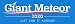 Giant Meteor 2020 Bumper Sticker