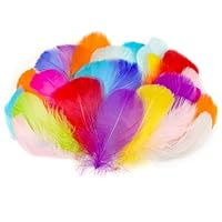 AOOTE Bastelfedern,100 Stück Deko Federn,6~12cm,Bunte Federn,Weich Federn,Flaumfedern,Feder Handwerk für DIY Ohrring,Kopfschmucksfedern,Traumfänger,Hochzeit,Ostern,Weihnachten