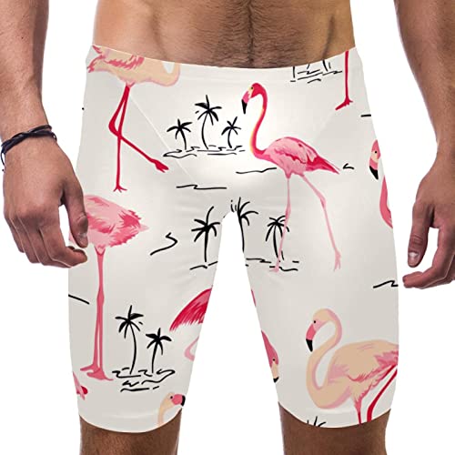 Jammer de natación para hombre con estampado de flamencos y cocoteros