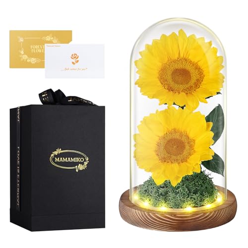2 Girasoles Reales Eternos en Cúpula de Cristal, Flores Preservadas por 5 Años, Regalos Florales para Ella, Mujer, Esposa, Novia en Cumpleaños, Aniversario, San Valentín, Día de la Madre, Navidad