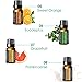 URPOWER 16x10ml 100% Pure Aromatherapy Essential Oil Gift Set with Lavender, Sweet Orange, Peppermint, Lemon, Rosemary, Grapefruit, etc for Essential Oil Diffuser, Massage, Spa