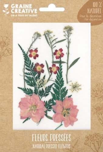 13 Pressed Flowers - red Meadow