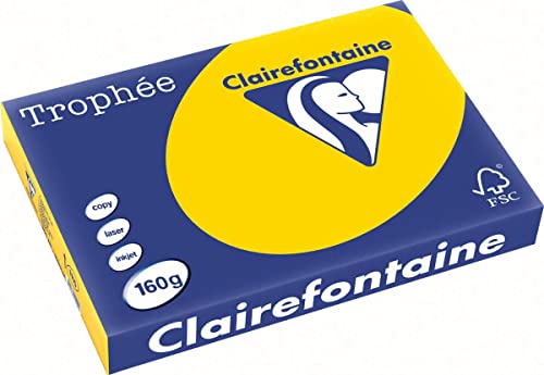 4 x Clairefontaine Kopierpapier Trophee A3 160g/qm VE=250 Blatt goldge