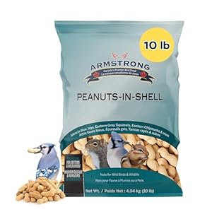Armstrong Easy Pickens Peanuts in The Shell 4.54kg, Large 1 Piece