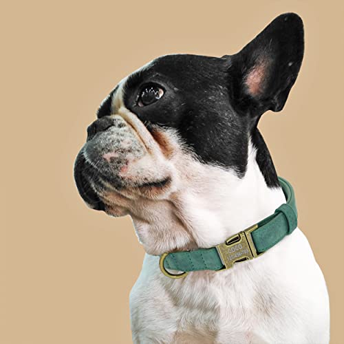 PET ARTIST Leder Hundehalsband personalisiert,gerolltes Leder Hundehalsband mit Namensschild,verstellbare und weich gepolsterte Hundehalsbänder für mittlere,kleine,große Hunde,Grün,M