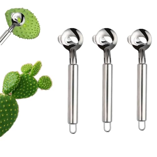 Cuchara peladora de cactus, herramienta multifuncional para pelar cactus, mango largo para pelar cactus y fideos afeitados a mano, utensilios de cocina de acero inoxidable para cocinar fideos de