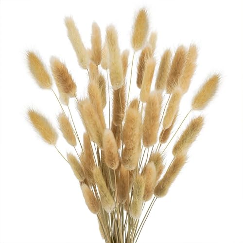 Decoración de Flores Secas Pampas 100 Piezas Natural