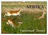  Afrika - Faszinierende Tierwelt (Wandkalender 2025 DIN A3 quer), CALVENDO Monatskalender: Afrikanische Tiere in der Wildnis Afrikas, ein Kalender, der zum Träumen verführt.