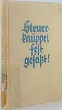  Steuerknüppel fest gefaßt. Aufzeichnungen eines sehr jungen Motorfliegers.