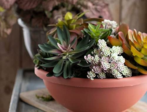 The Hc Companies 22 Inch Large Garden Bowl Planter - Shallow Plant Pot With Drainage Plug For Indoor Outdoor Flowers, Herbs, Chocolate #TOP30