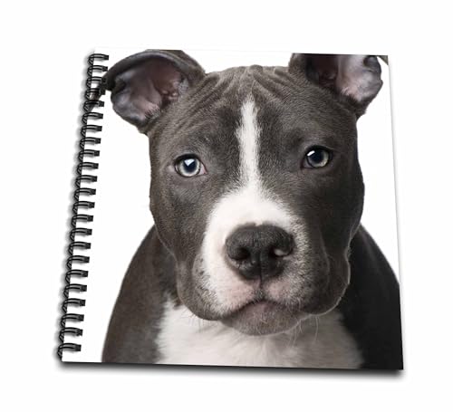 3dRose db_4240_2 American Pit Bull Terrier Puppy Memory Book, 12 by 12-Inch
