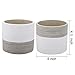 Brief Succulent Pots, 5 inch Diameter, 2 Pack Modern Cement Cactus Flower Aloe Snake Plant Planter Container with Drainage Hole, White (P013)