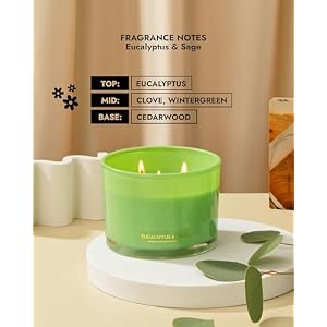 96NORTH Luxury Palo Santo and Eucalyptus Candles | 3 Wick Jar Candles | Relaxing Aromatherapy Aesthetic Candle 96NORTH Luxury Palo Santo and Eucalyptus Candles 3 Wick Jar Candles Relaxing Aromatherapy Aesthetic Candle