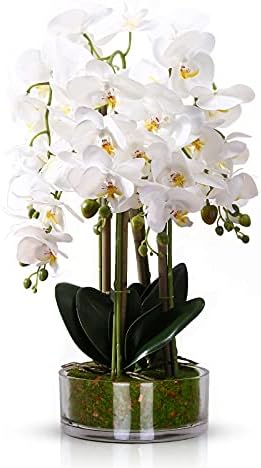 Qucover Artificial White Orchid Butterfly Flower in Vase Real Touch Fake Phalaenopsis Silk Bouquet Bonsai for Home Wedding Party Decoration Mothers Day Flowers
