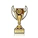 Zelaro Pokal in Gold mit Wunschtext - Trophäe für Kinder - Henkelpokal als Geschenk für Frauen und Männer mit Embleme DREI Größen (16cm)