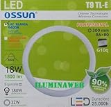 Ossun