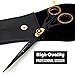 Saaqaans SQR-01 Professional Hairdressing Scissor - Perfect for Hair Salon/Barber/Hairdresser and Home use to Trim your Haircut/Beard/Moustache - Comes with Beautiful Black Pouch/Case