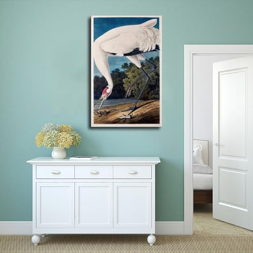 Hooping Crane Audubon poster toile grand format pour mur vide