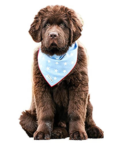 Kendall Wags Summer Nautical Dog Bandanas Pet Scarf Accessories For Large Medium Small Dogs - 4Th Of July #TOP25