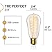Hudson Bulb Co. Vintage Incandescent Edison Light Bulbs, 60W, E26/E27 Base, 2100K Dimmable Decorative Lights, ST58 Style Warm Glow, Antique Spiral Filament for Outdoor and Indoor Use - 6 Pack