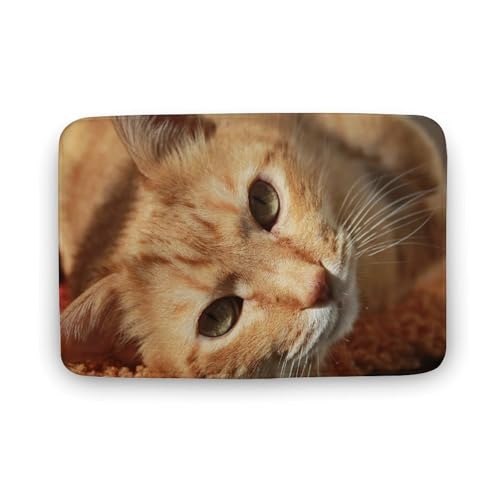 L   oX}bg   z փ}bg  O    ~ Aj LN^[ @}bg   ʏ