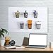Briwooody 6 Set Slatwall Cups with Hook Loops, Mesh Steel Slatwall Tool Holder Bin Cups Pencil Holder Metal Slat Wall Organizer Accesories for Craft Garage Workshop Office Storage(Black)