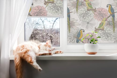 Store enrouleur sans perçage pour protéger votre intimité