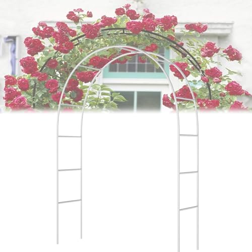 Elegant Metal Wedding Arch – Sturdy Iron Garden Decor Stylish Rose Flower Stand Perfect for Outdoor Bridal Parties & Events Black White Green Design