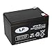 Produktbild Blei-Akku NSA LP12-12 T2 12V 12Ah mit VDs Lead-Acid, kompatibel LC-RA1212PG LC-RA1212PG1 Exide Powerfit S312/12S, NP12-12 FG21202 NP12-12-WT MP12-12B 6-FM-12 6-DZM-12 u.a.