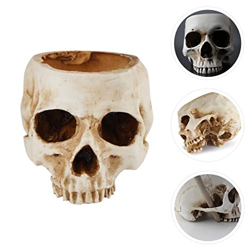 Uonlytech Caveira Cabeça Plantador Cabeça Caveira Vaso de Flores Porta-Caneta Esqueleto Crânio Estat