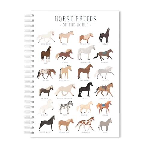 Manta Makes Horse themed notebook in choice of plain or lined | horse gifts or horse lover gift | equestrian gifts notepad/journal (Lined paper)