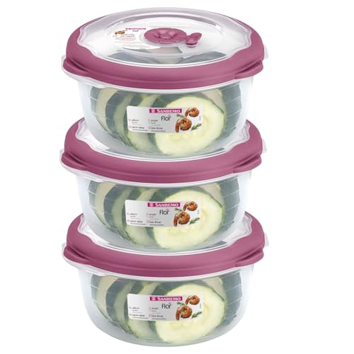 Tribello 3.1 Cup Plastic Bowls Food Storage Container With Lid For Leftovers, Meal Prep, Microwave/Dishwasher Safe, Steam Vent/Air-Tight Lid, For Soup Freezer Storage Set - 25 Oz - 6 Piece Set