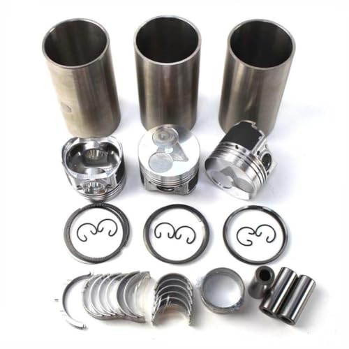 D722 Overhaul Rebuild Kit Piston Liner Cylinder Gasket Bearing Set Compatible With Automotive Motorcycle Parts D722B K008 G1900 B7300HSD BX1860D ZD18 D722