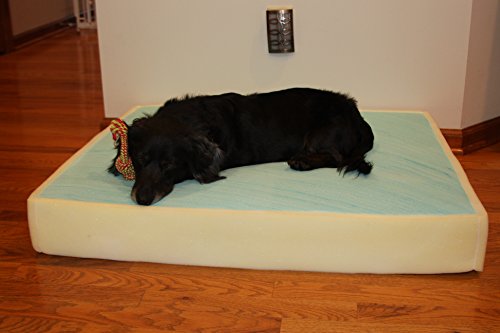 home bargains memory foam dog bed