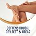 Gold Bond Softening Foot Cream, 4 oz., Foot Lotion with Shea Butter to Soften Rough & Dry Feet