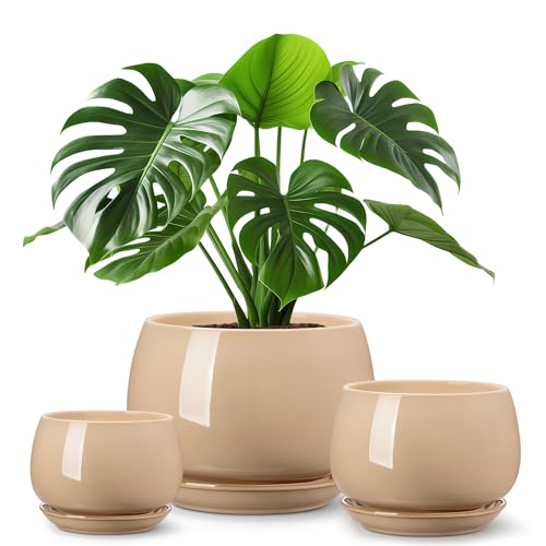 vancasso 3-Pack Ceramic Plant Pots, 3.7/4.8/6.2 Inch Indoor Planters with Saucers & Drainage Hole Planter pots for Indoor Plants and Flower, Brown