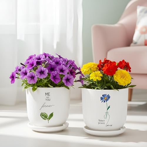 Image of Xtore Charming Printed Ceramic Planter Set of 2 with Drainage Trays | Artistic Indoor Plant Pots for Desk, Shelf & Gift Styling (Pack of 2 - Planter only)