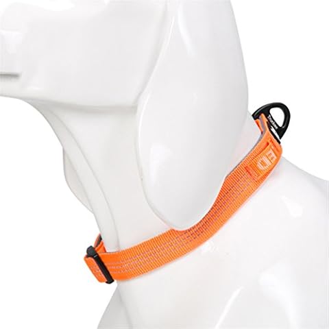 WINHYEPET True Love Dog Collars 4 Colors 4M Reflective Collar for Small Medium Large Dogs Puppy Adjustable Padded Soft Nylon Comfy Neck TLC5271(Orange,M) Cover