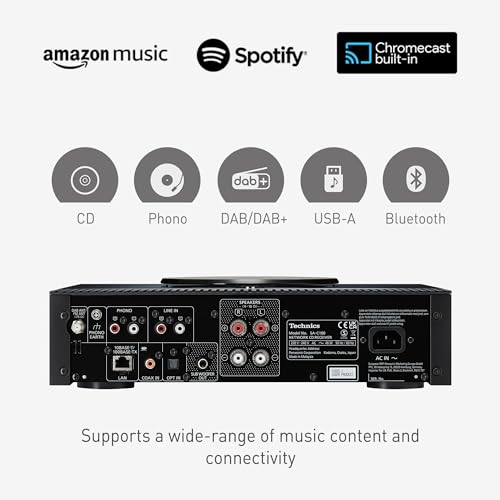 Technics SA-C100 Premium Class Network CD Receiver