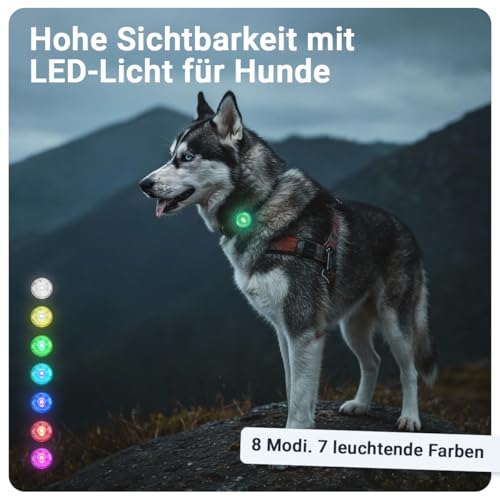 PAJ Light MINI 2X stark leuchtende Mini LEDs für Halsbänder und Geschirre kleine+mittlere Hunde & Katzen anpassbare Anbringung 100% Wasserfest 7 Farben Sichtbarkeit & Sicherheit bei Nacht-2