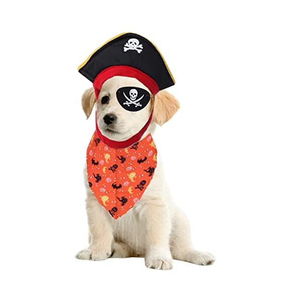 Anelekor pet dog halloween costume cat pumpkin hat and spider bandana set halloween cat apparel with glasses funny pet clothes for small dogs kitten kitty - image 4