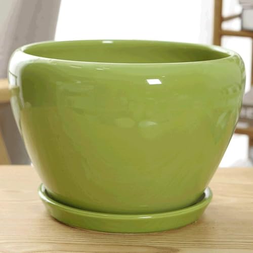 Image of SnamicE Ceramic Ice Crack Zisha Plant Pot with Bamboo Trays Full Succulent Plant Pot Large Size Cactus Flower Pots Mini Container/Planter Decorated Living Room Bedroom-B Medium,D-Large