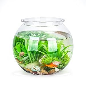 Nobleza Kugelaquarium 20cm Fischglas