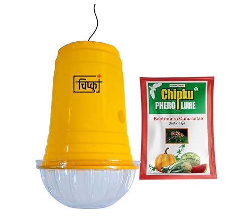 Image of Chipku Glass Trap with Melon Fly Lure for Garden & Farm Use to Control cucurbitae | Effective Pest Control for Melon Fly, Bottle Gourd & All Vegetables - Pack of 2