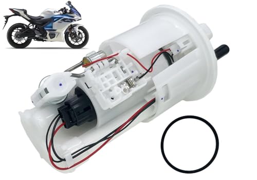 R1/R6 Fuel Pump Module