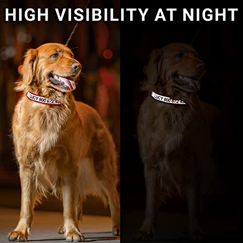 Gotags Reflective Personalized Dog Collar, Custom Embroidered With Pet Name And Phone Number In Black For Boy And Girl Dogs, 3 Adjustable Sizes, Small, Medium, And Large #TOP6